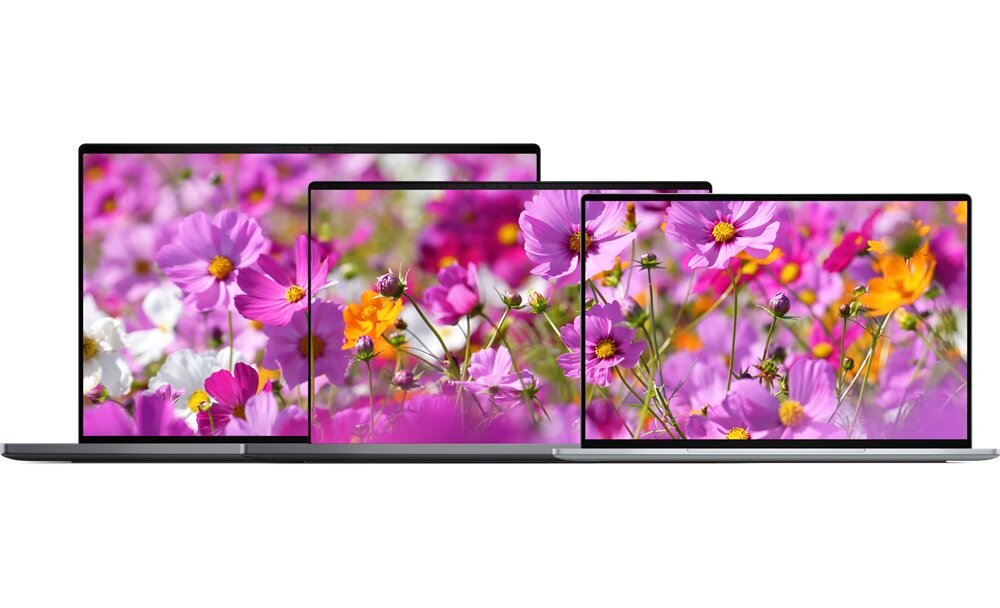 Three laptops arranged in a row displaying a vivid pink‑purple flower wallpaper on their screens at different sizes. Dell XPS 13 Dell Technologies _____ _____ 3